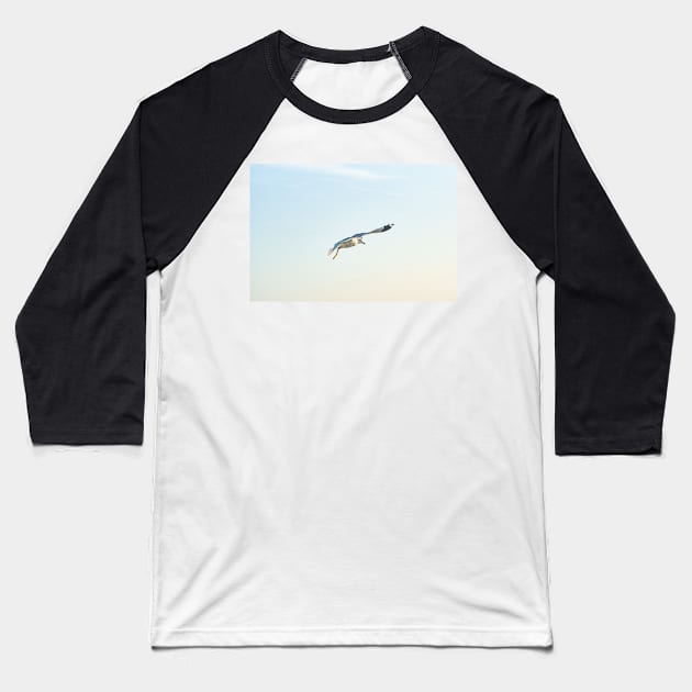 Hovering Larus Californicus Baseball T-Shirt by KensLensDesigns
